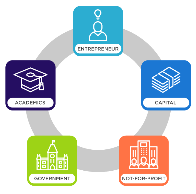 Five blocks of clusters: Entrepreneur, Academics, Capital, Government and Not-for-profit