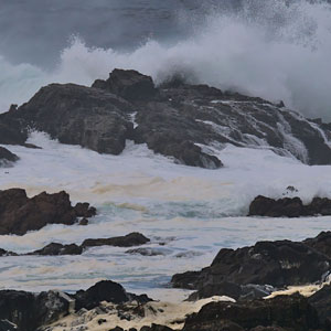 Research team swells understanding of coastal flooding risks