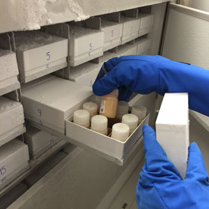 Growing Knowledge: How Health Canada is going the distance to study human impacts of chemical exposure