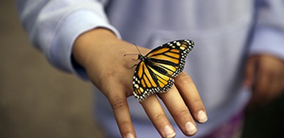 Citizen Science Portal