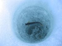 Environmental Monitoring and Research