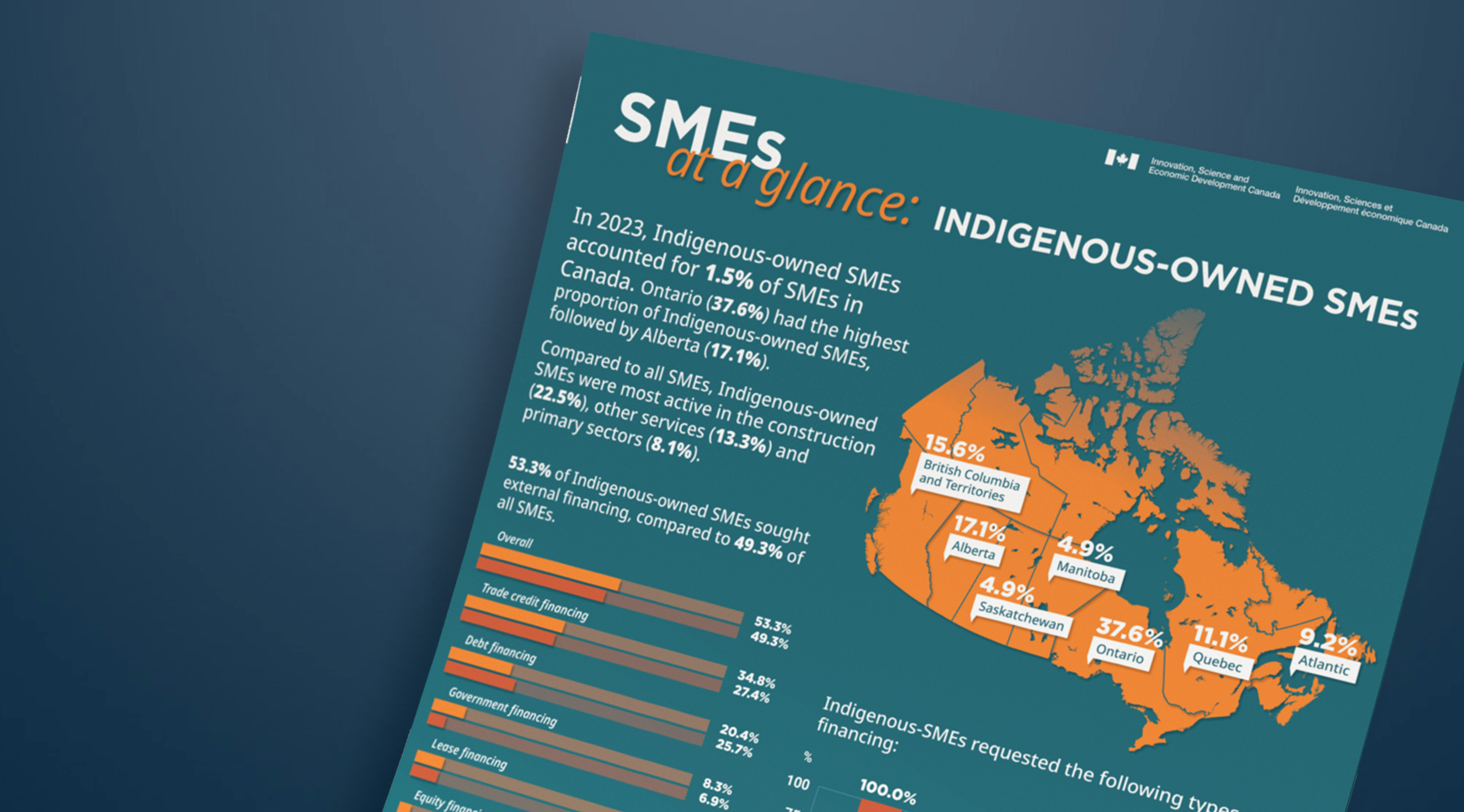 SMEs at a glance: Indigenous-owned SMEs